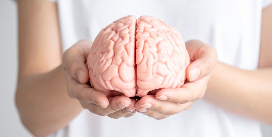 La carence nutritionnelle qui peut affecter le cerveau dès le jeune âge adulte