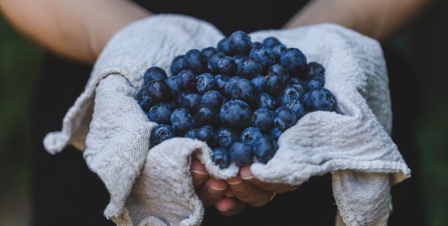 Qu’est-ce que les fibres prébiotiques (prébiotiques) et comment en consommer au mieux ?
