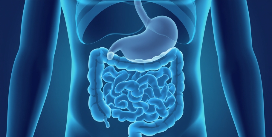 Faible acidité gastrique : 12 signes que l’estomac ne décompose pas correctement les aliments