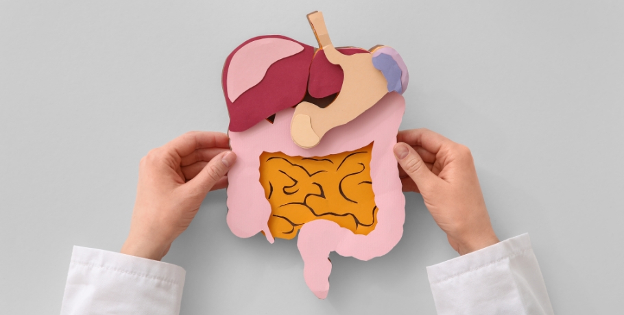 Bile, absorption des graisses et vitamines liposolubles – le maillon oublié de la digestion Bile, absorption des graisses et vitamines liposolubles – le maillon oublié de la digestion