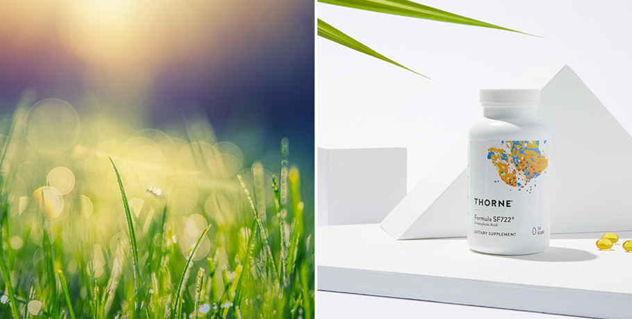 Formula SF722 - un super-remède contre le Candida ?